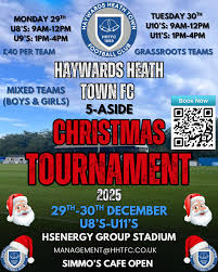 Image result for Haywards Heath Town Ladies Football Club