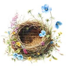 Attēlu rezultāti vaicājumam “nest”