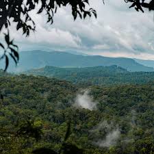 Image result for синхараджа