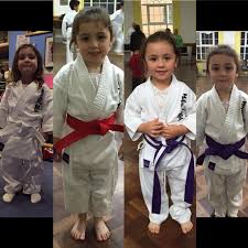 Image result for Seiki Juku Karate Club