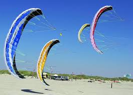 Image result for Baiter Power Kite