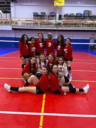 Image result for Newmarket Volleyball Club