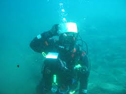 Image result for Southdown Divers