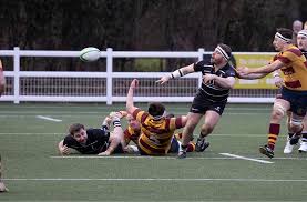 Image result for Westcliff Rugby Football Club