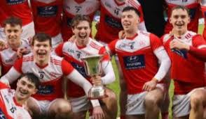 Image result for University Of Limerick Gaa Hurling Club