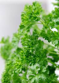 Image result for Petersilie