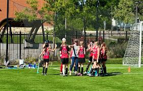 Image result for Reddish Green Ladies Hockey Club