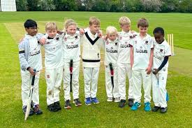 Image result for Luton Nomads Cricket Club