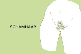 Image result for schamhaar