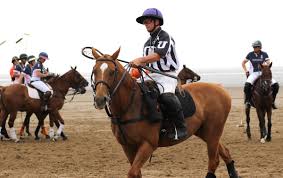 Image result for Taunton Vale Polo Club