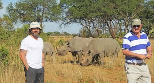 Image result for Rhyl Rhinos