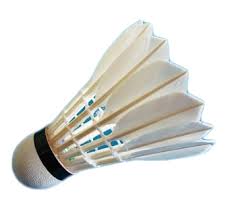 Image result for Manchester Feathers Badminton Club