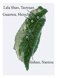 Attēlu rezultāti vaicājumam “Cordyceps stylophora”