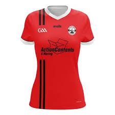 Image result for Wolfe Tones Gaelic Athletic Club