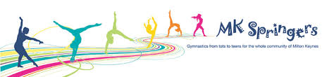 Image result for Mk Springers Gymnastics Club