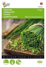 Attēlu rezultāti vaicājumam “Allium schoenoprasum fruit”