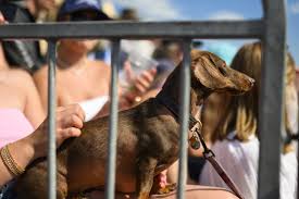 Image result for Dalton (Yorkshire) Badminton Club