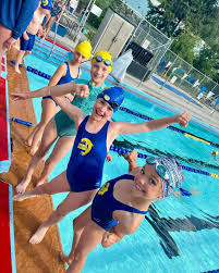 Image result for Gosport Dolphins Swimming Club