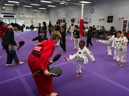 Image result for TopKick Martial Arts Center Leesburg