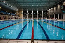 Image result for Biggleswade Swimming Club