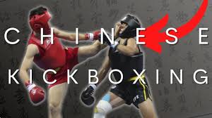 Image result for Southgate T`ai Tsung Chinese Boxing