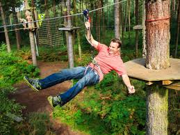 Image result for Go Ape! Alice Holt