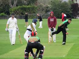 Image result for Christchurch Cricket Club