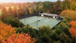 Image result for Potton Tennis Club