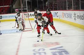 Image result for Arbroath Hurricanes Skater Hockey Club