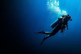 Image result for Scuba Fun