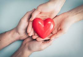 Image result for doação de órgãos