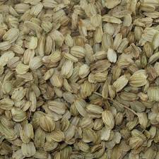 Attēlu rezultāti vaicājumam “Angelica archangelica fruit”