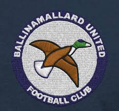 Image result for Ballinamallard United Football Club