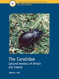 Attēlu rezultāti vaicājumam “Carabidae”