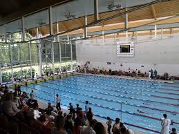 Image result for East Grinstead Swimming Club
