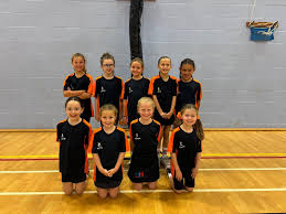 Image result for Hertford Hornets Netball Club