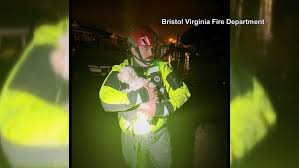 Image result for Bristol Swifts