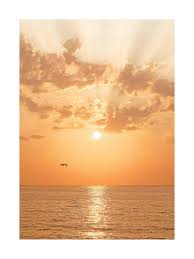 Image result for sunset