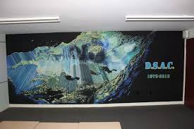 Image result for Droylsden Sub Aqua Club