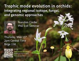 Attēlu rezultāti vaicājumam “Rhizomnium punctatum sporophyte”