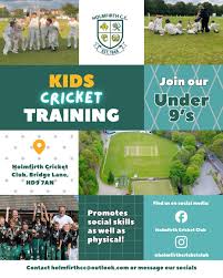 Image result for Holmfirth Cc