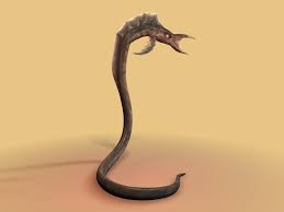 http://t0.gstatic.com/images?q=tbn:ANd9GcSAL-5OnvBsN54qd9_0X9v6fYhn0AXRwUVaRyNQafB9nTJs5m9Xxw