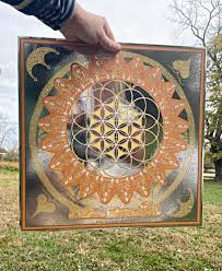 Image result for life flower