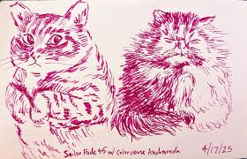 Image result for pheega