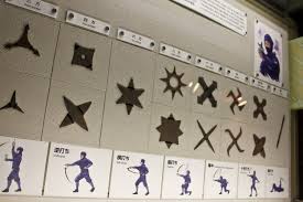 Image result for Hertfordshire Iga Ryu Ninjutsu