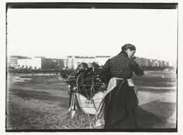 「Heinrich Zille」的圖片搜尋結果