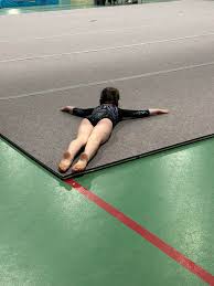 Image result for Wyre Forest School Of Gymnastics