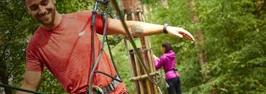Image result for Go Ape! Leeds Castle