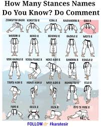 Image result for Shotokan Karate