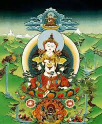 Image result for dordzse